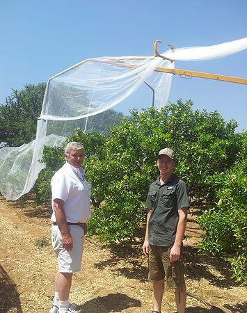 bee net8 plasa de albine8