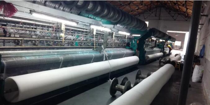 bee net3 plasa de albine3