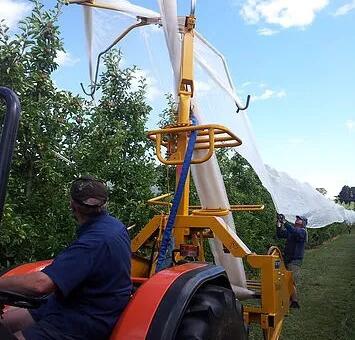 bee net7 plasa de albine7