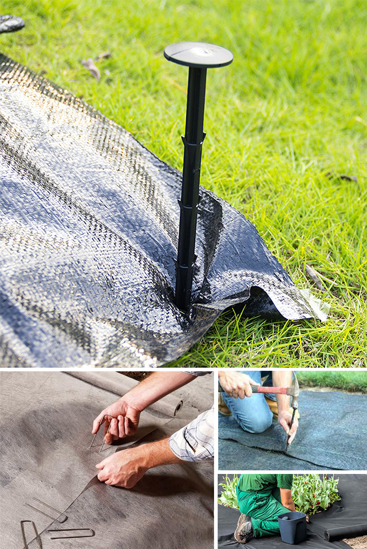 ground nail4 unghie măcinată4