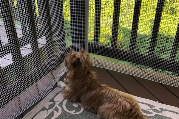 Animale de companie cu garduri de plastic de plastic