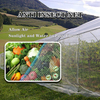 Vânzare fierbinte din fabrică 16x16 Planturi de tomate plasă de insecte
