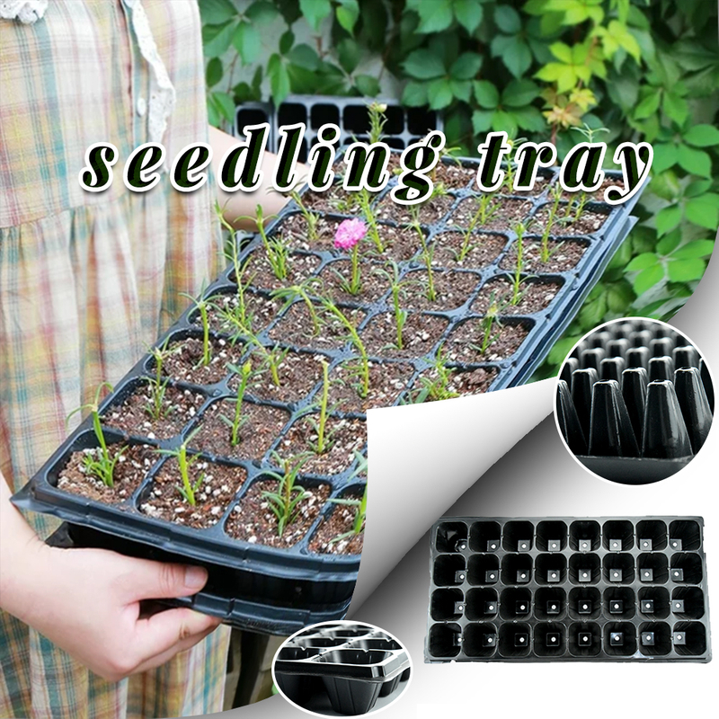 200 de găuri celulele tavă hidroponică pornirea crește microgreens tăvi de răsaduri pentru tăvi