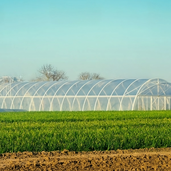 Impactul rețelei de plastic agricol asupra agriculturii