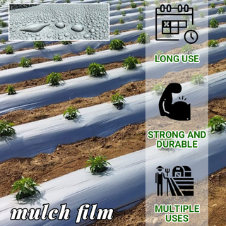 Film de mulci din plastic negru și argintiu Film de mulci din plastic agricol