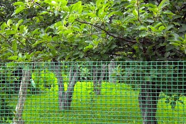 Plasa de plastic BOP