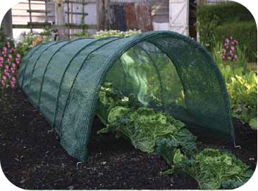 Acoperirea agricolă a materialelor noi pentru plasa de umbră