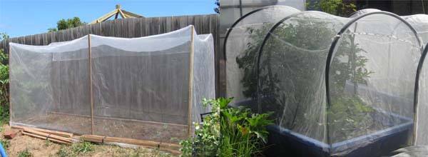 plasa anti-insecte