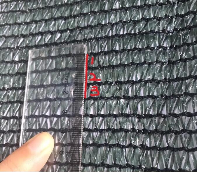 plasă de măsline17