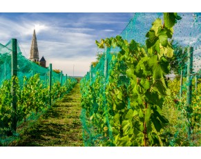 Net Bird - plasă agricolă prietenoasă pentru creșterea producției