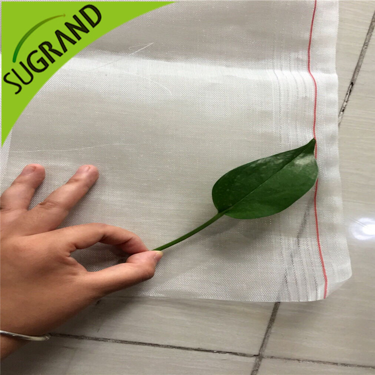 Cum să lăsați vântul și să preveniți insectele în seră?