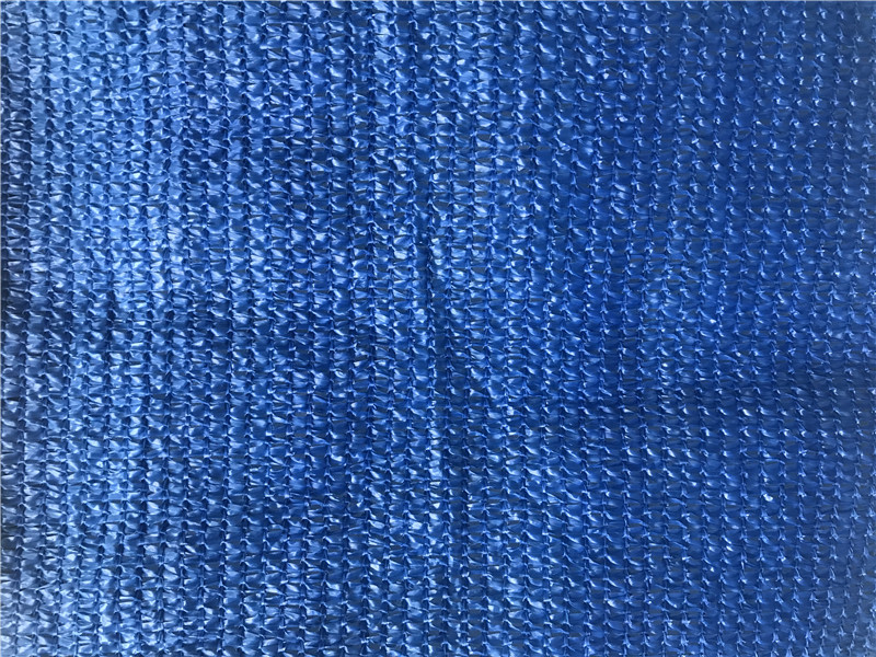 nuanță albastră net-135g (4)