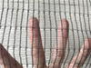 HDPE tratat UV 50GSM Negru Anti Bee Net