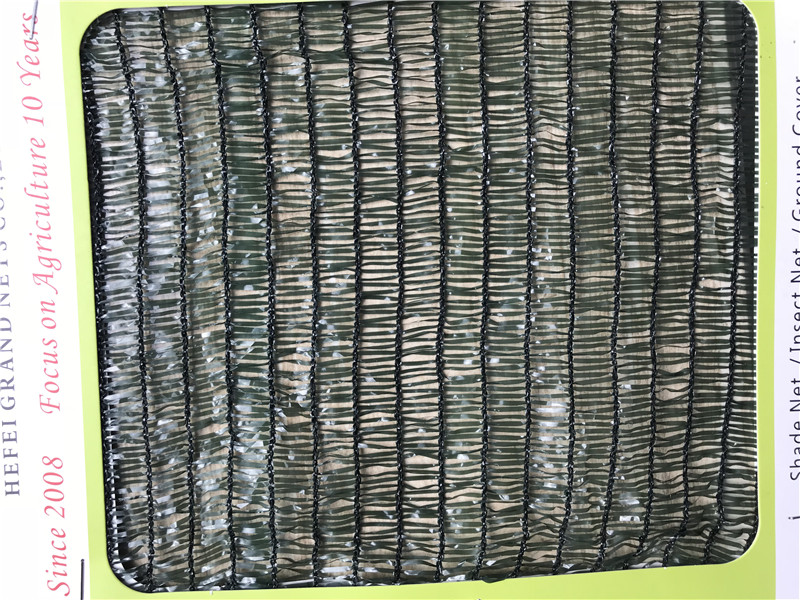 Principiul hidratant al plasării nuanței