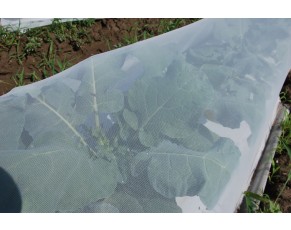 plasa anti-insecte 