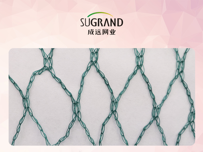 Care este cel mai bun material de plasă pentru păsări în iaz cu pești