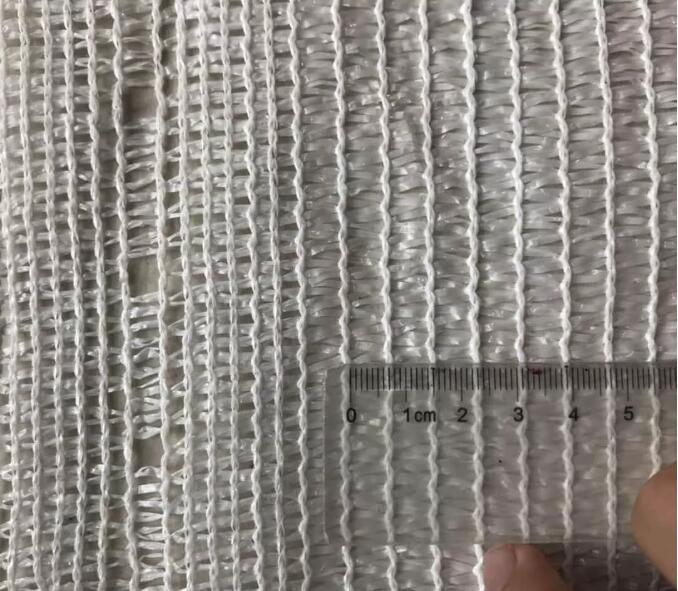 plasă de măsline19