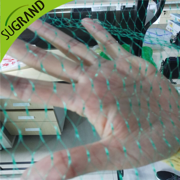 Selectarea materialului și a dimensiunii ochiului de plasă pentru păsări