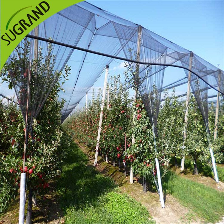 NOU HDPE BLACK ANTI ANTA BEE NET ONLINE