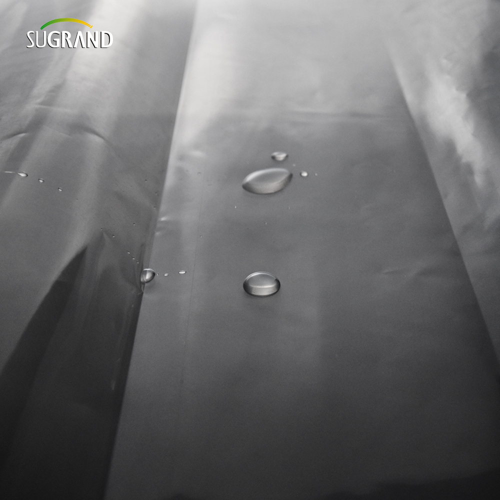 UV 190 Micron cu seră de polietilenă Film de 6 mil. Fabrica de copertă din plastic de plastic
