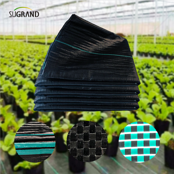 Lucruri pe care nu le știi despre Weed Mat