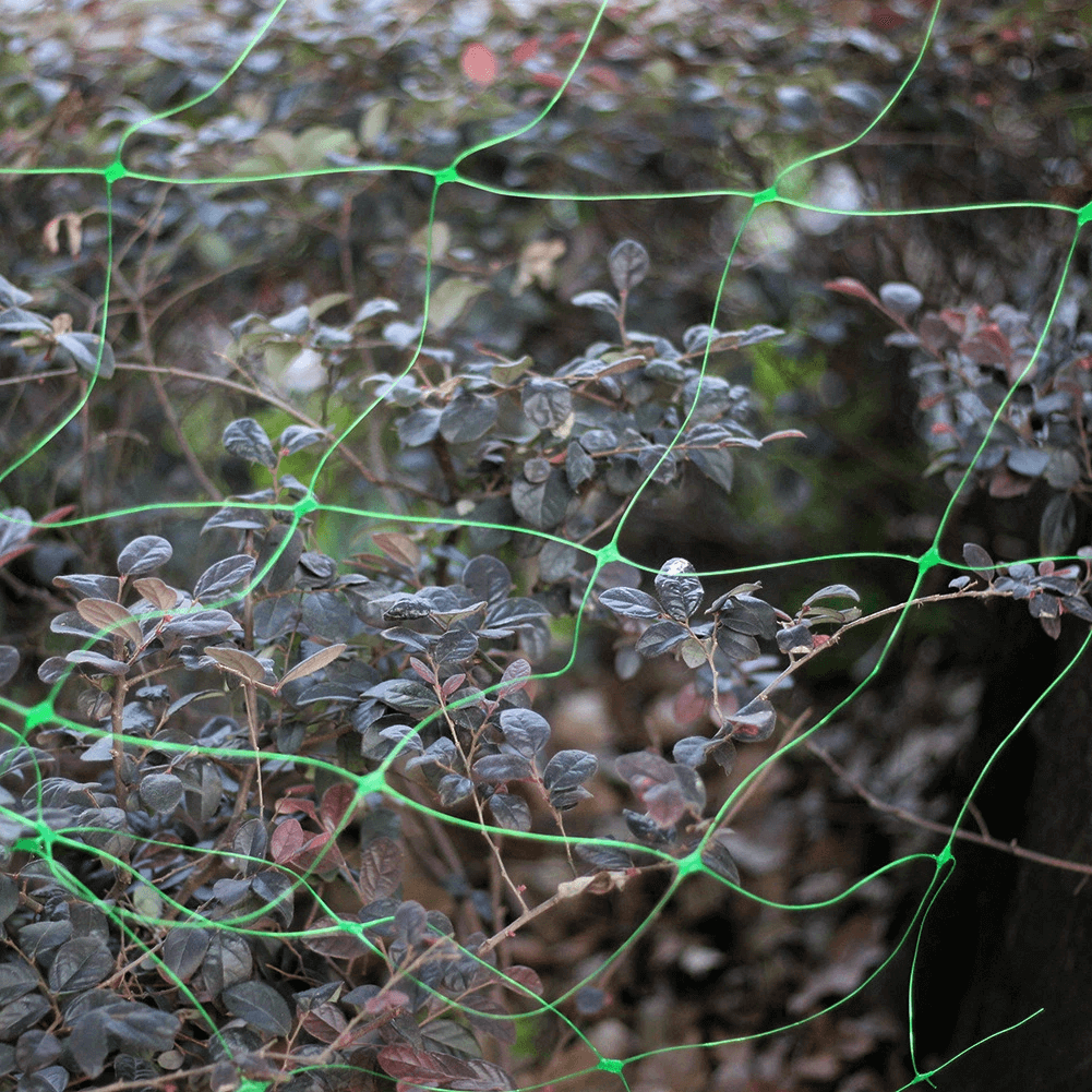 Net de cățărare pentru castravete de fasole