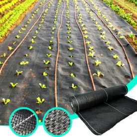 Beneficiile lui SUGRAND acoperire la sol