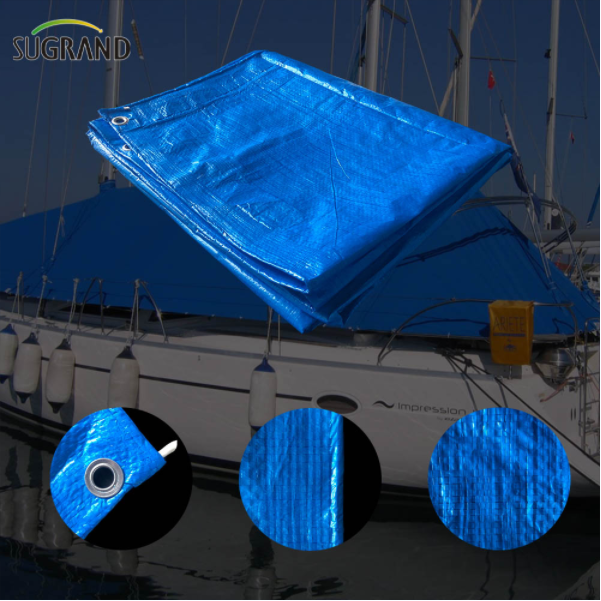 Caracteristici și precauții ale prelatei