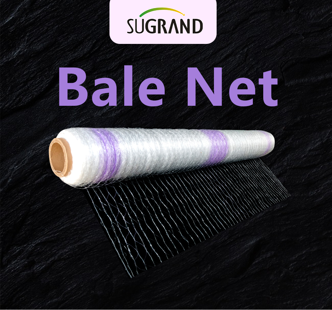 plasă de baloturi1
