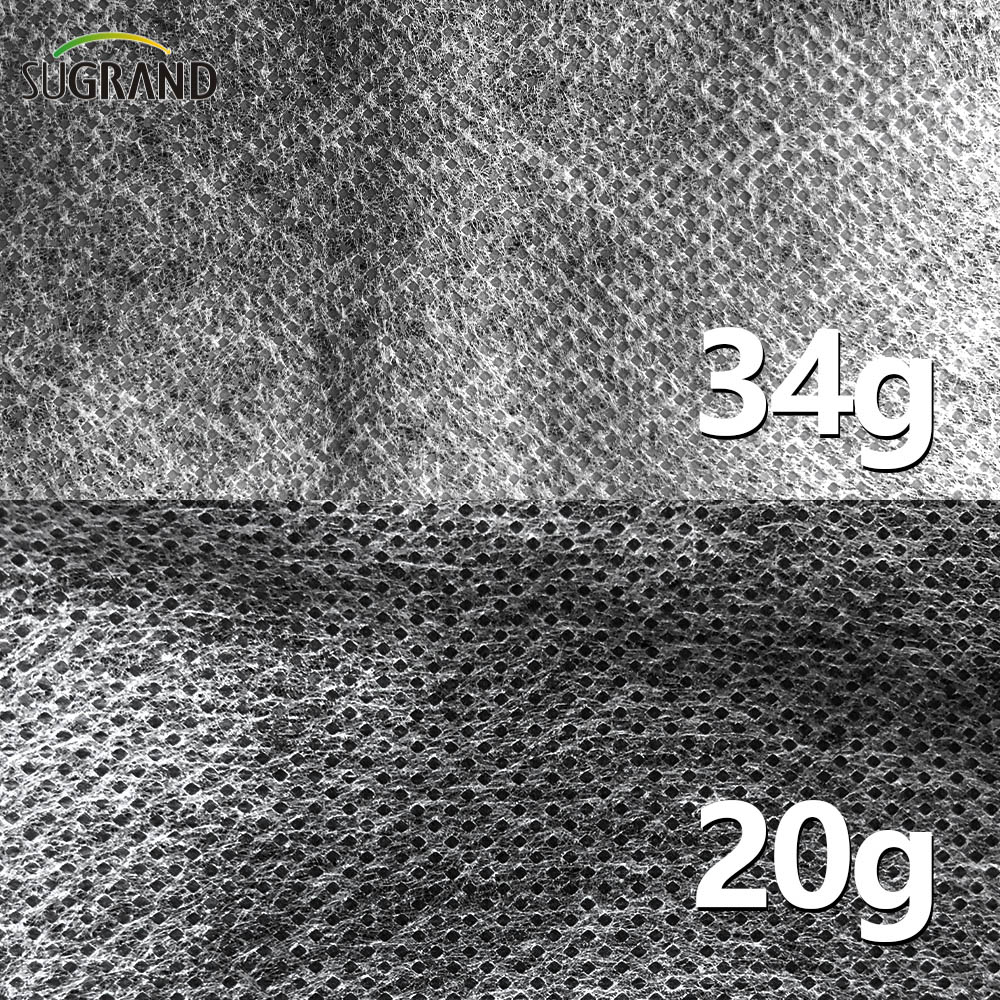 100g 2x50m Agricultură pp pânză nelegată 