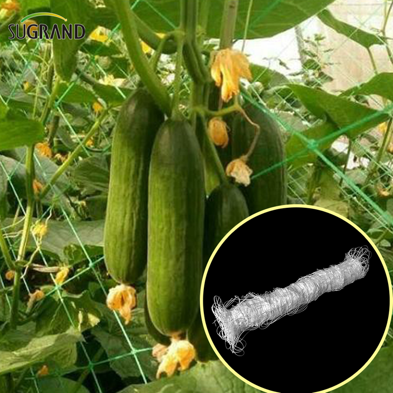 Grădină Green White Balck Trellis Planturi de alpinism Suport pentru plasare Furnizori