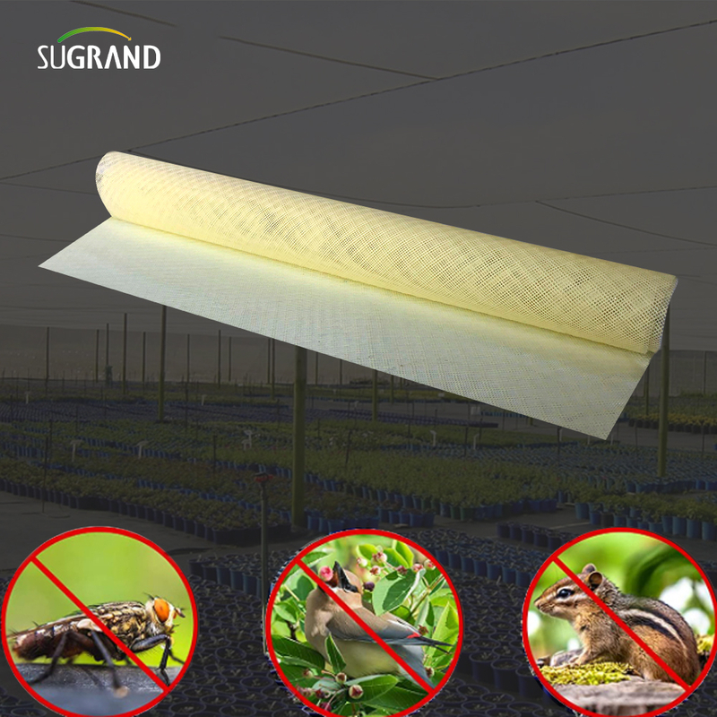 Agricultură HDPE plastic anti -insecte plasă de insecte de plasă