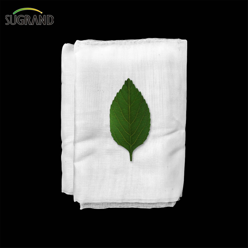 Fabrica China Angrie cu ridicata Anti insecte Alb pentru Agricol