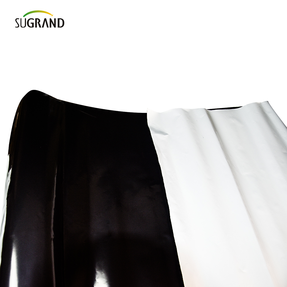 PE Garden Weed Mat Agricultură Plastic Mulch Film
