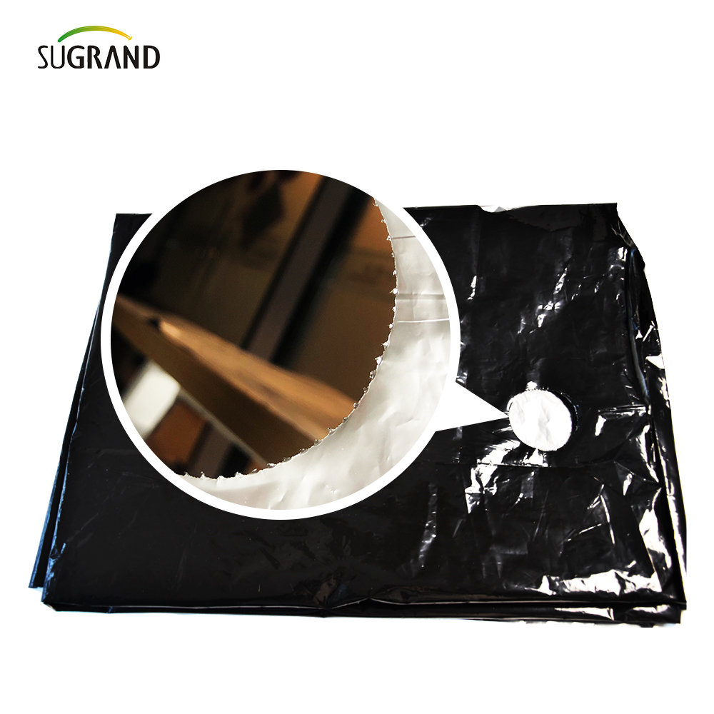 Film de mulci perforat din plastic UV mulch film pentru legume 