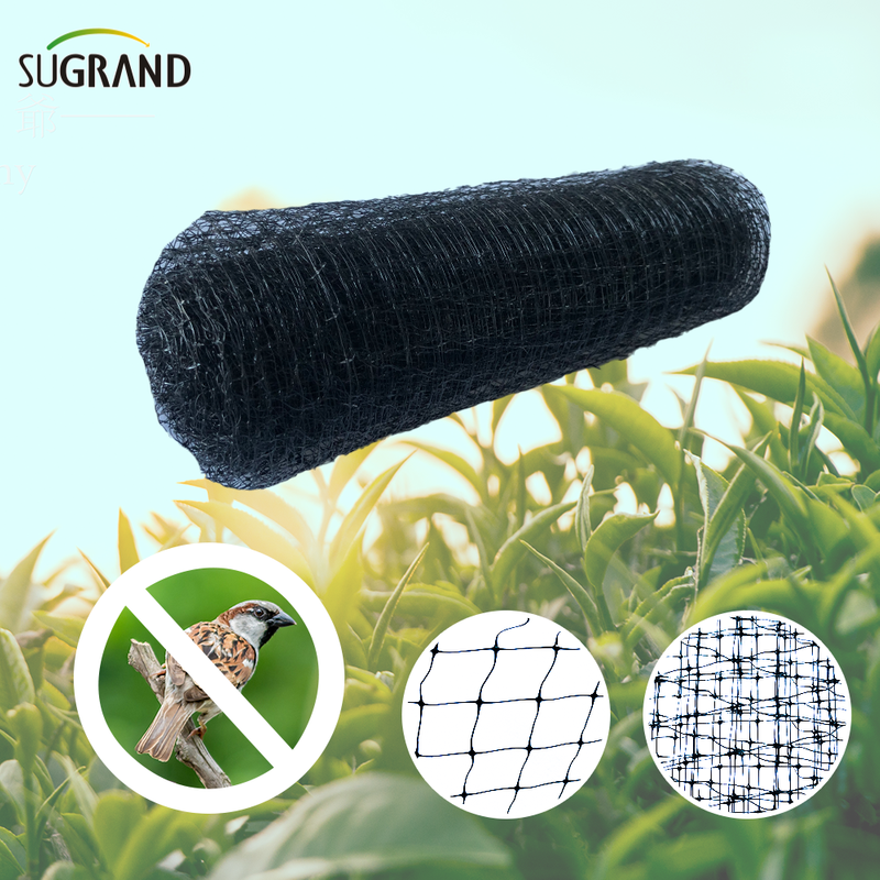 HDPE 200m plasă anti -pasăre extrudată pentru protejarea fructelor vegetale