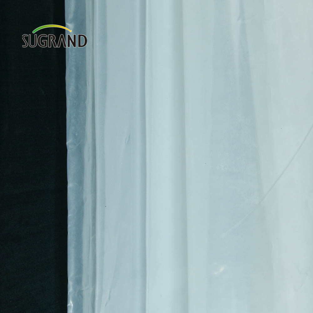 Fabrica Direct 30microns - 250microni UV Film cu efect de seră pentru seră de seră Agricultură 