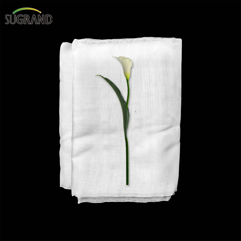 Virgin HDPE legume 130gsm net insecte anti -insecte