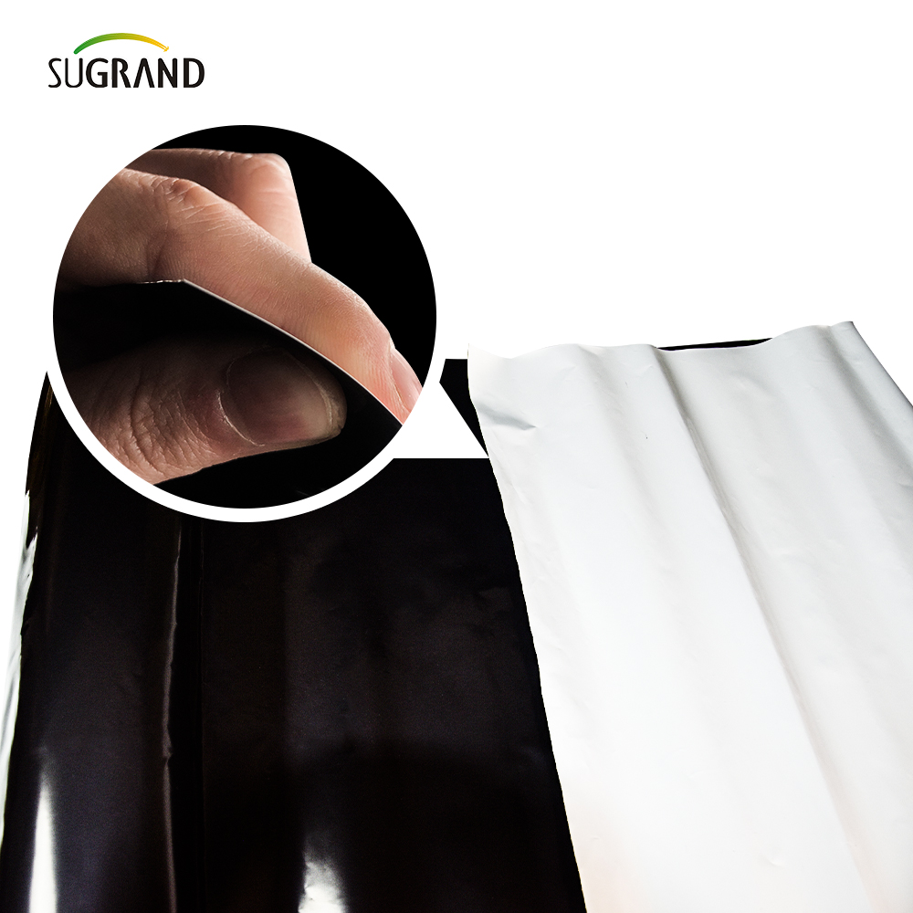 PE Garden Weed Mat Agricultură Plastic Mulch Film