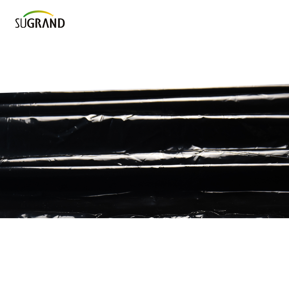 Film de mulci perforat din plastic UV mulch film pentru legume 