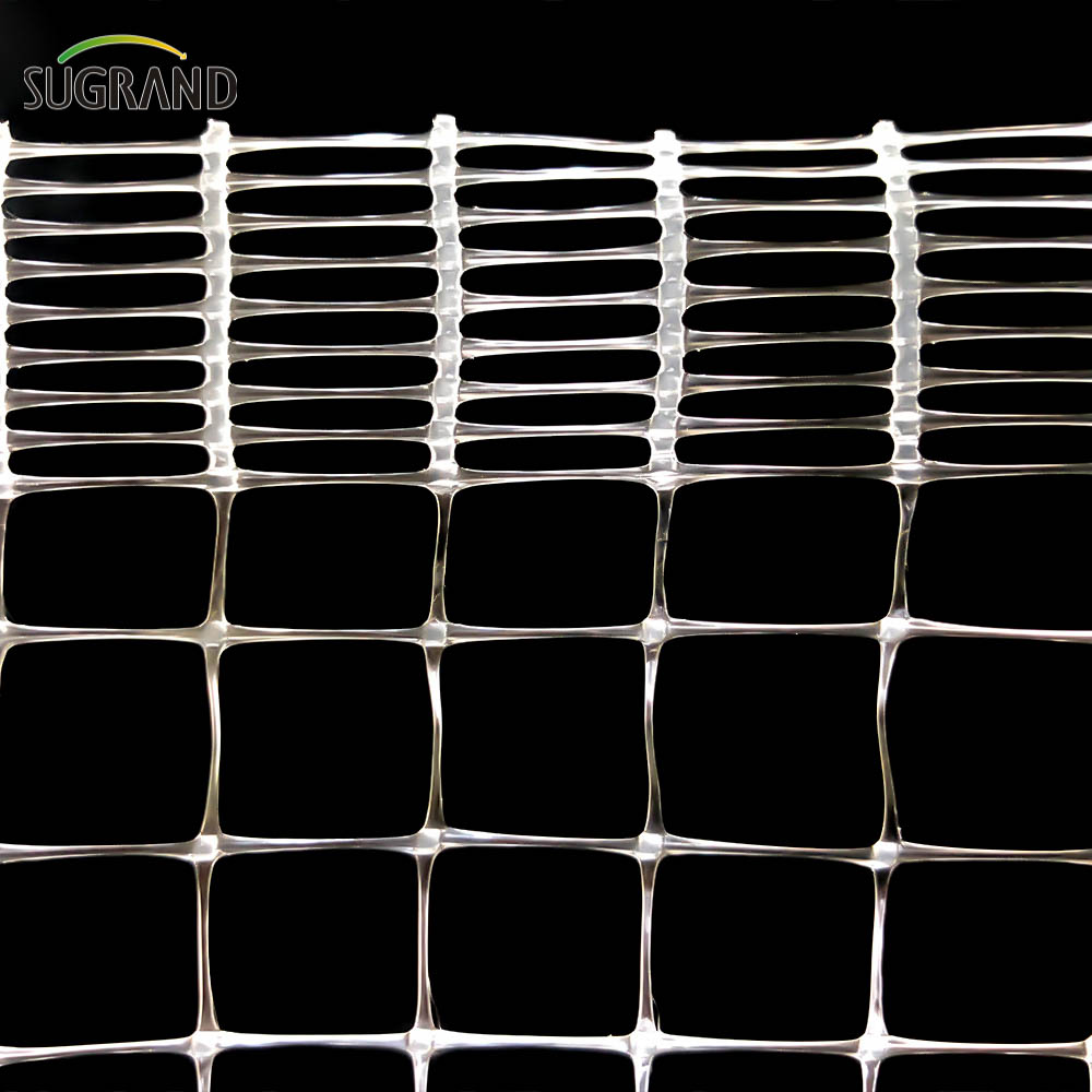 Alb 8*8mm extrudat plasă anti-pasăre pentru furnizorii de păsări de fructe