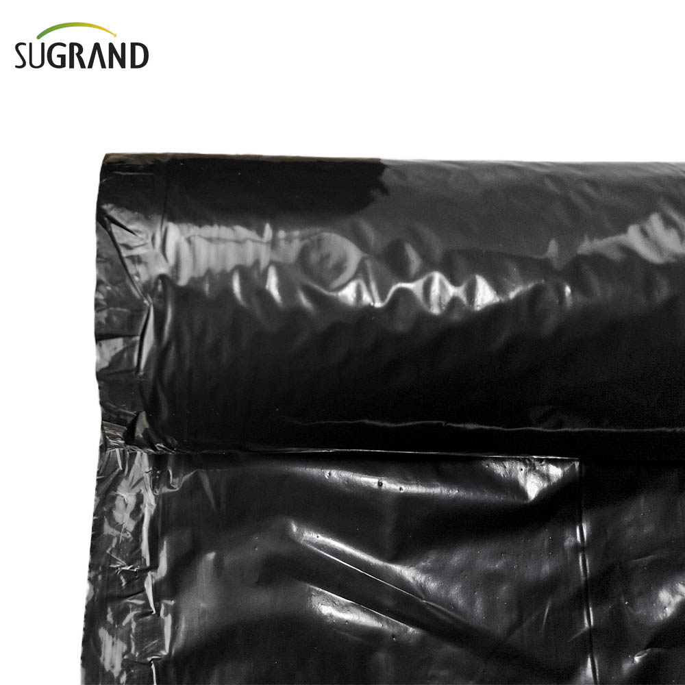 Biotelo Biodegradabil Film Mulch Agriplast Mulching