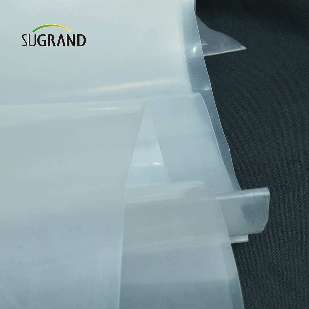 Fabrica Direct 30microns - 250microni UV Film cu efect de seră pentru seră de seră Agricultură 