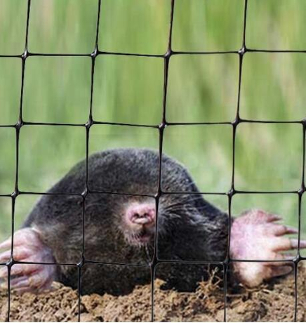 anti mole netting (1).jpg