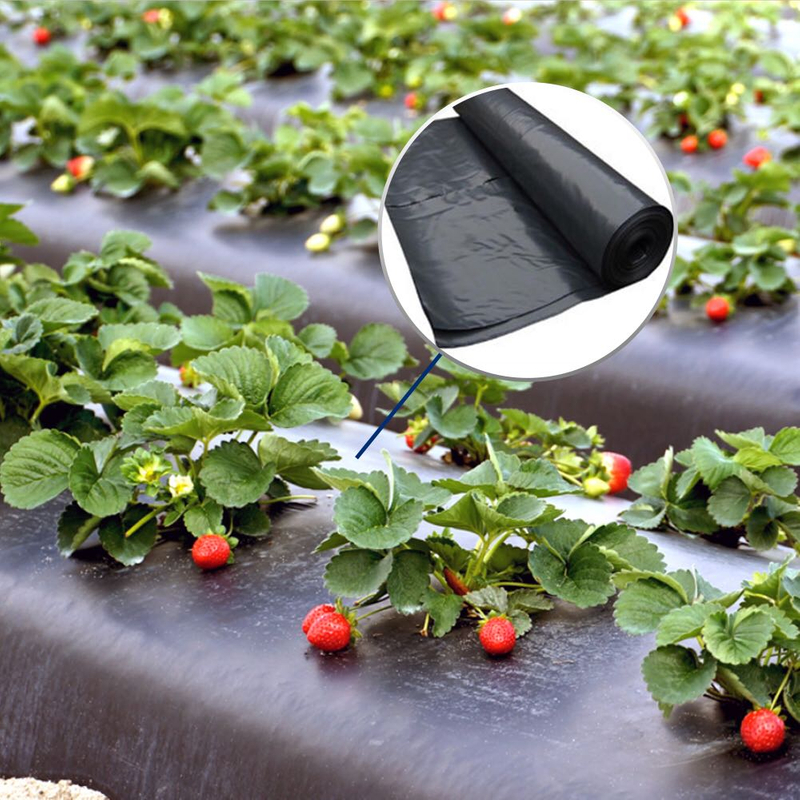 Film de mulci din plastic negru argintiu pentru agricultură buruieni de buruieni