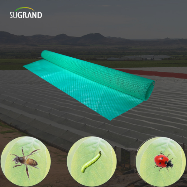 Cum se instalează rețeaua de insecte: un ghid de bricolaj pentru fermieri și grădinari