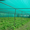 Cu ridicata seră cu ridicata sau grădină verde nuanță de soare verde pentru fabrica de vânzare