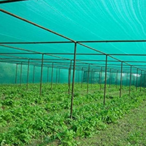 Cu ridicata seră cu ridicata sau grădină verde nuanță de soare verde pentru fabrica de vânzare