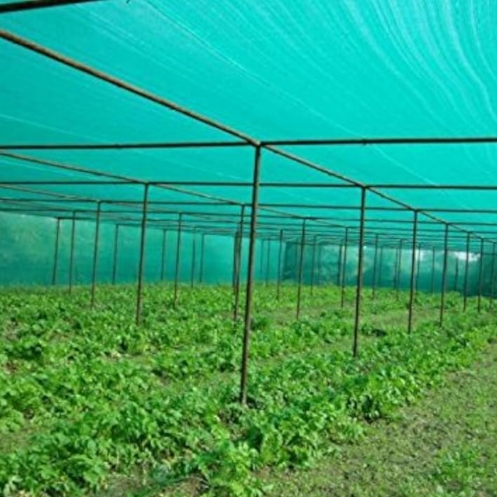 Cu ridicata seră cu ridicata sau grădină verde nuanță de soare verde pentru fabrica de vânzare