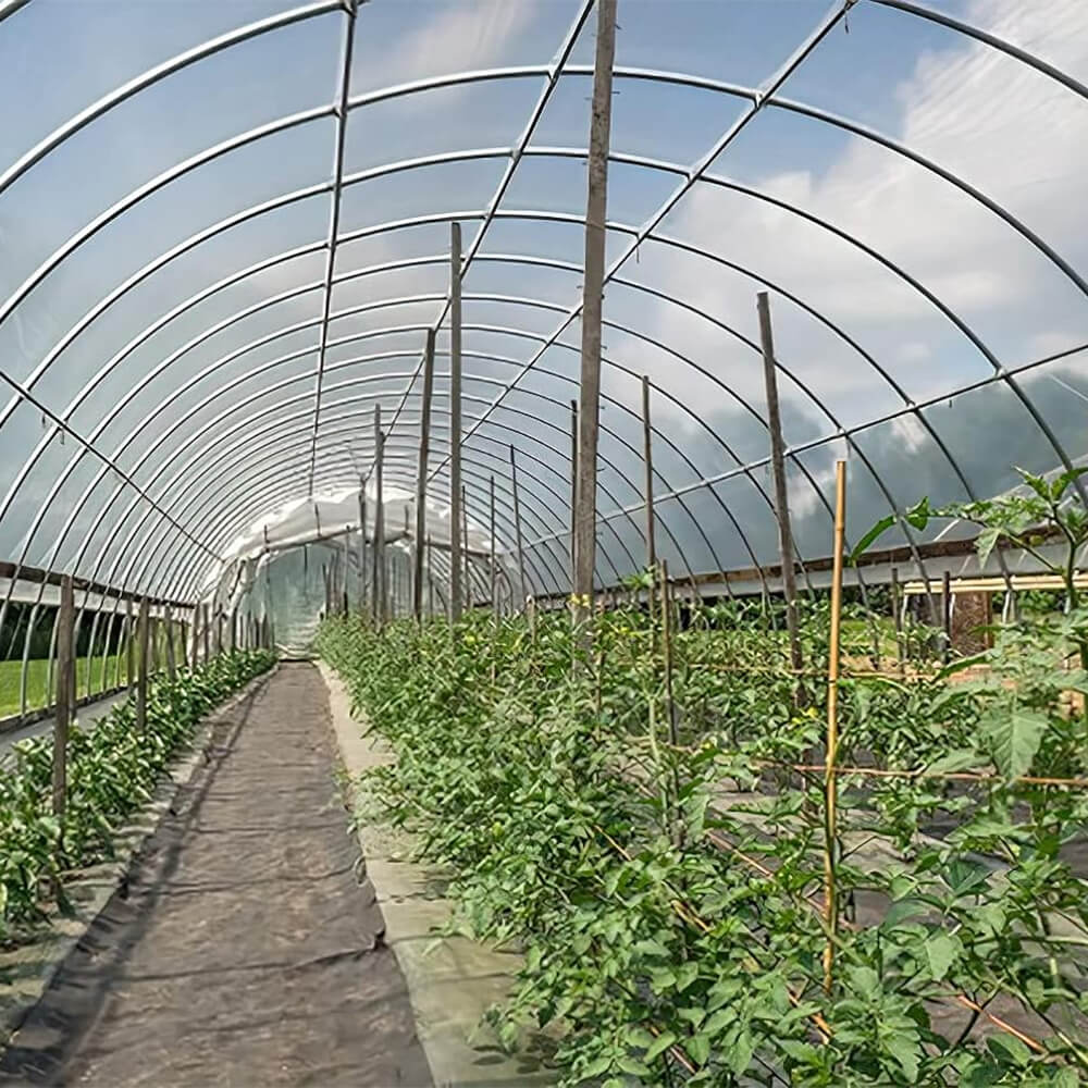 Film cu efect de seră din plastic din polietilenă